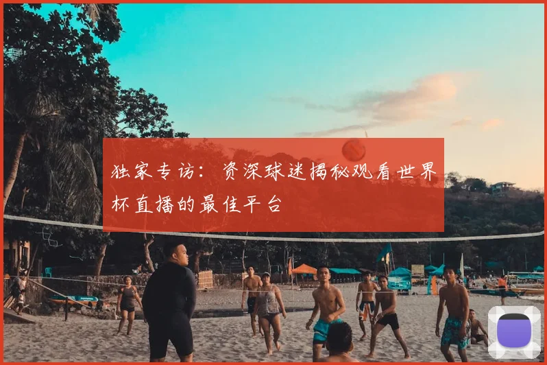 独家专访：资深球迷揭秘观看世界杯直播的最佳平台